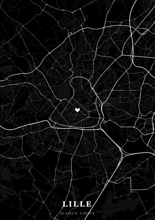 Palais des Beaux-Arts — Lille