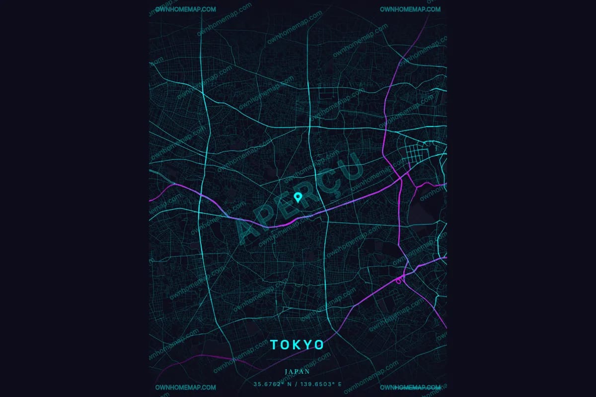 Os 17 estilos de poster de mapa OwnHomeMap